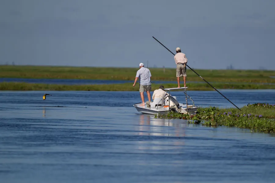 hosted fly fishing trips