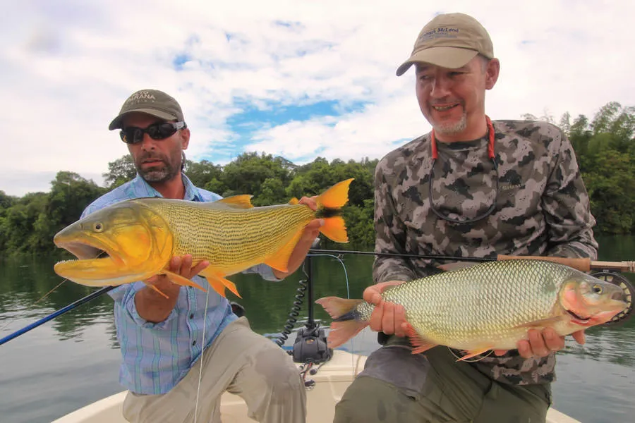 guided dorado fishing