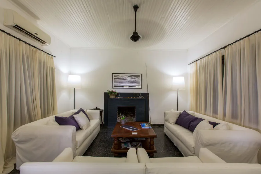 room fly fishing golden dorado