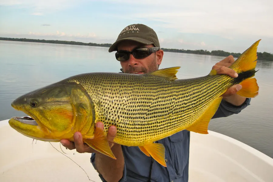hosted fly fishing trips