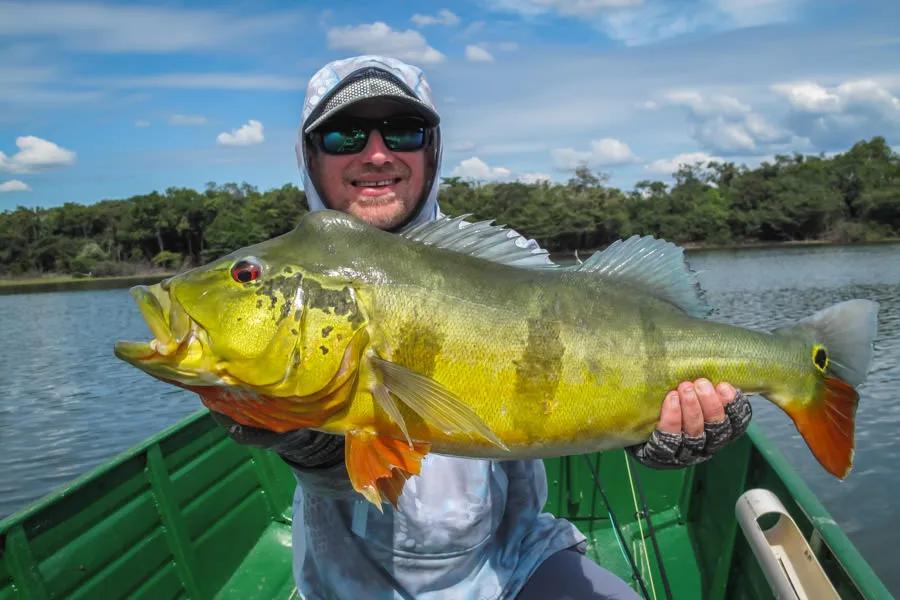 Bill's Big Peacock Bass in Brazil