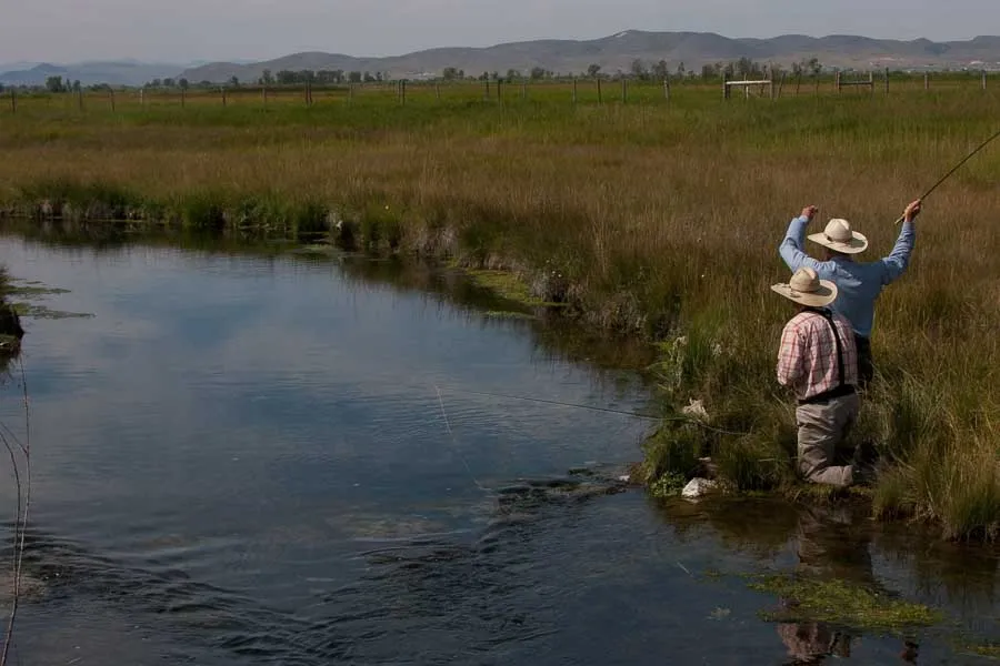 Montana Angler, Montana Fly Fishing