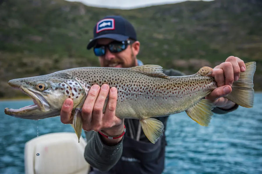 Baker brown trout chile