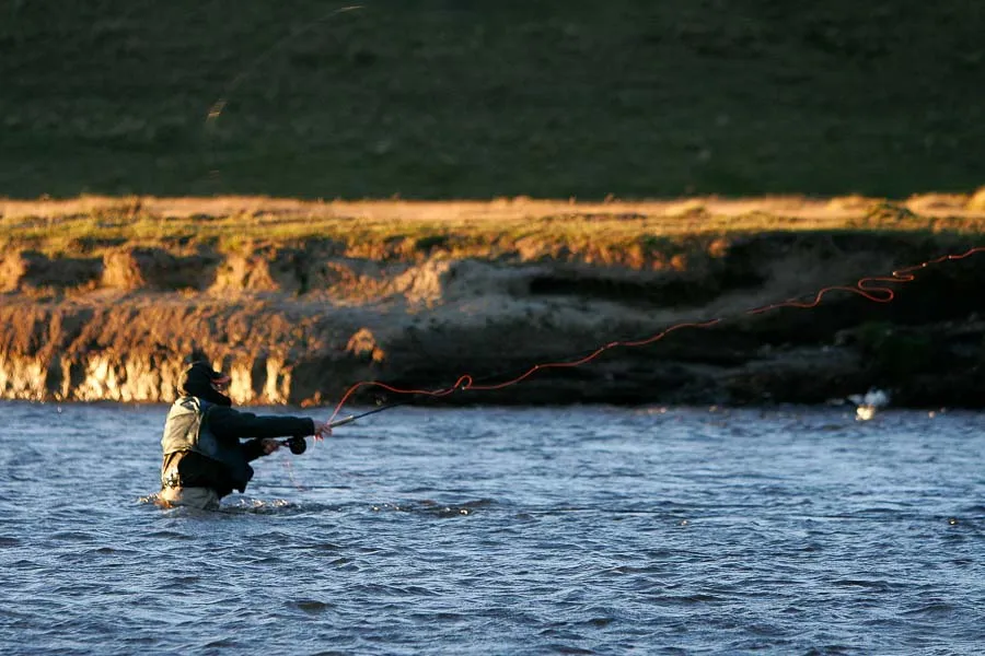 Montana Angler Fishing Trips