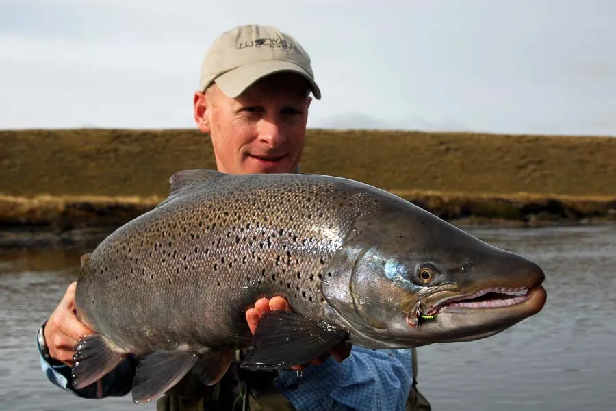 Fishing for Sea Run Brown Trout