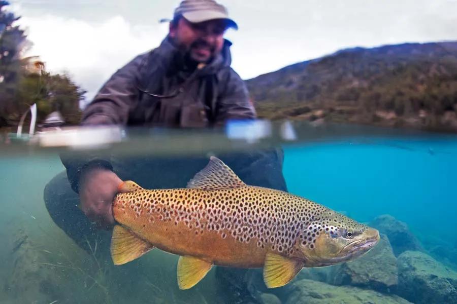 Chile Fly Fishing - Magic Waters Lodge with Montana Angler