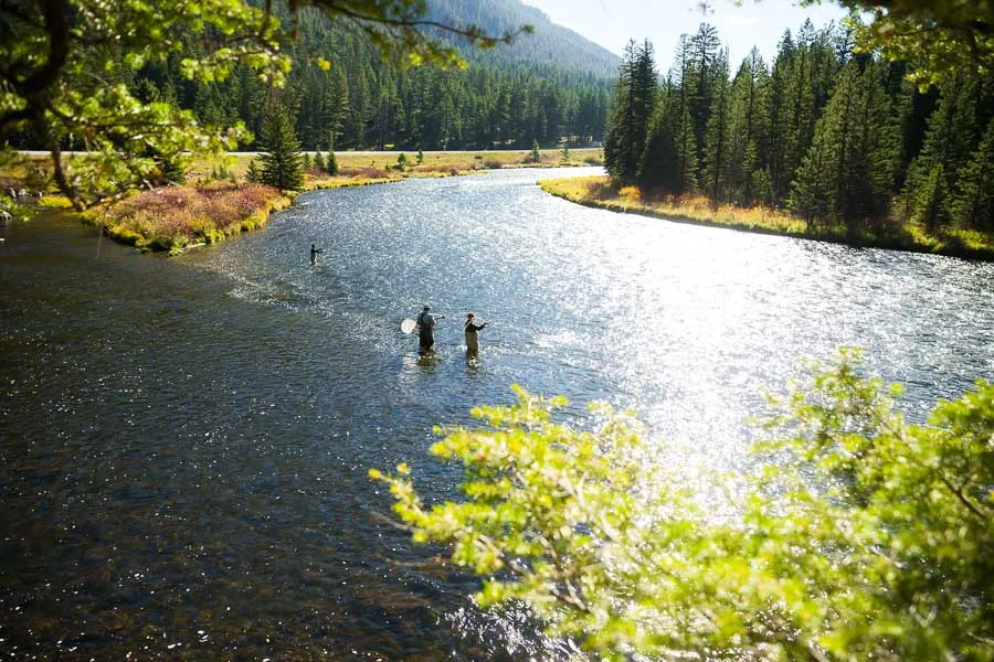 wade fishing madison river