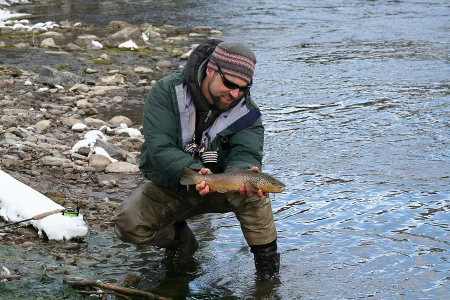 Brown on the Gallatin River