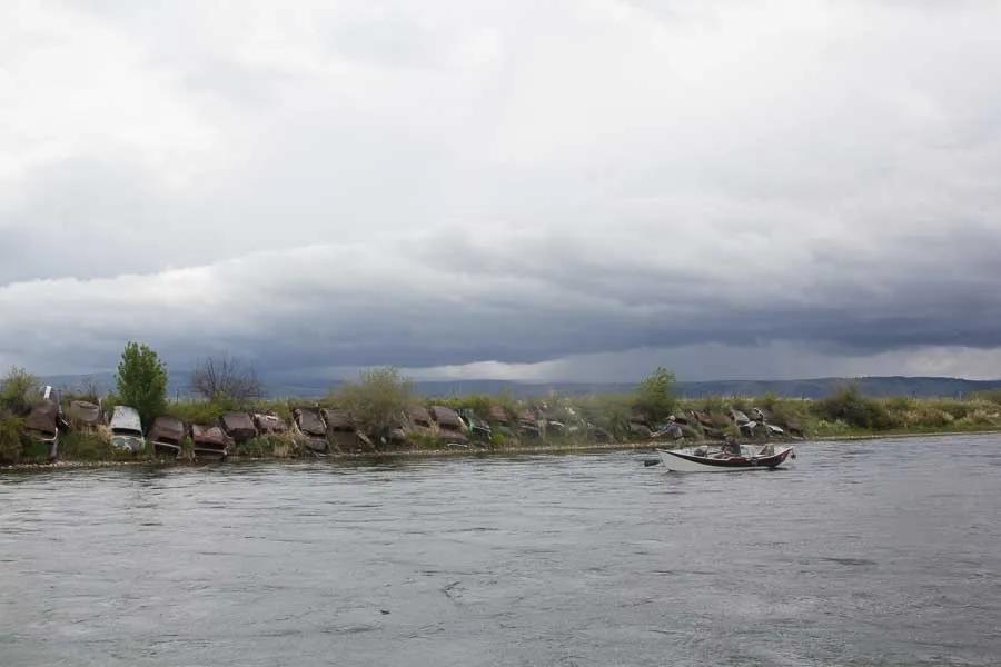 downriver bighorn