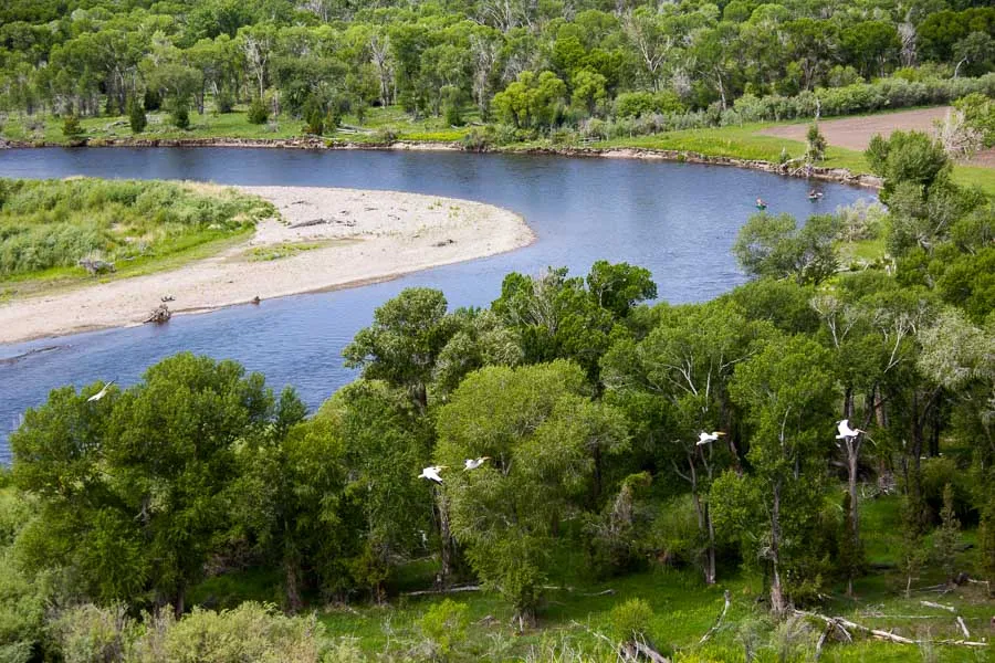 Bend in River