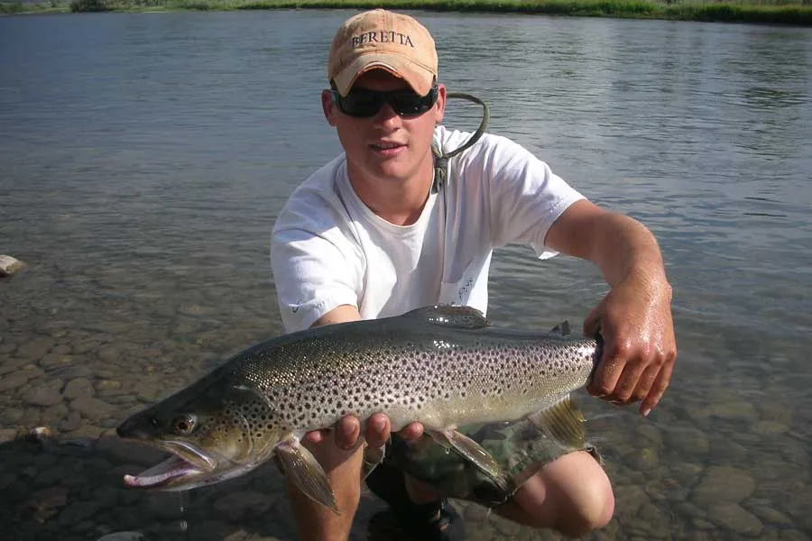 fly fishing for trout