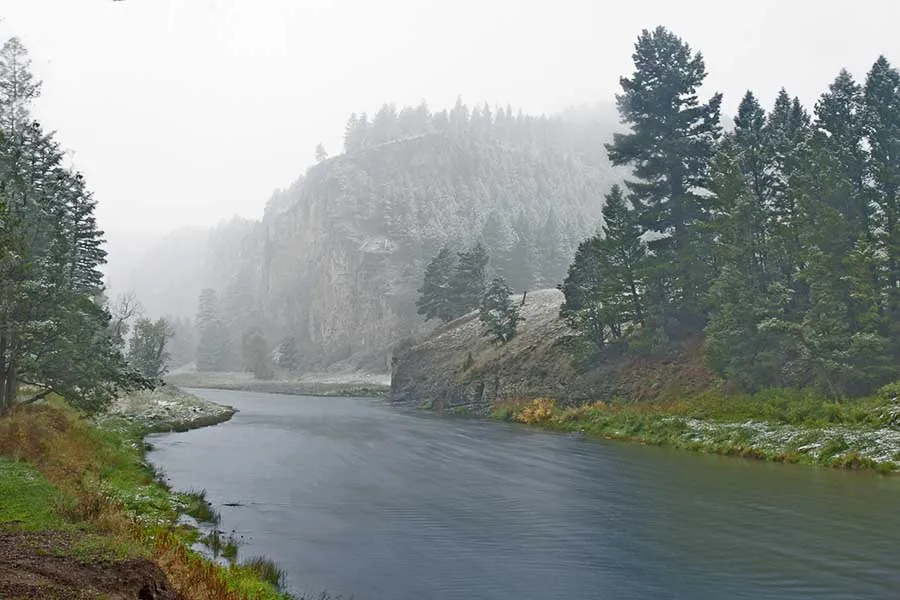 morning fog