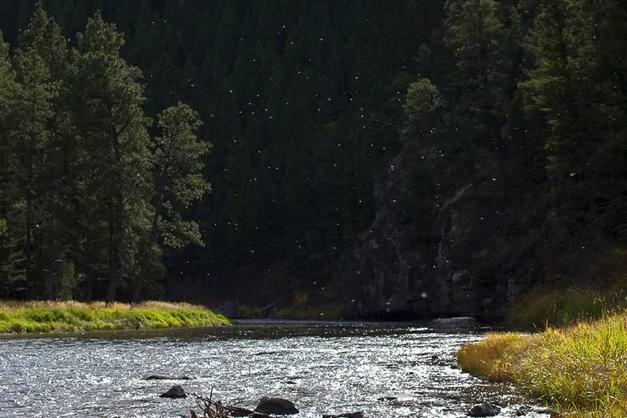 river view