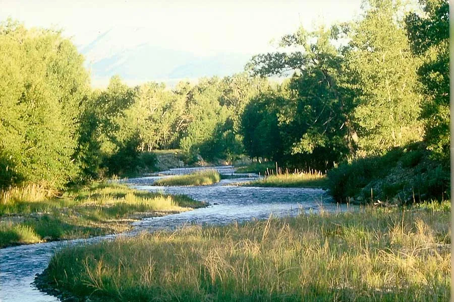 daylight view