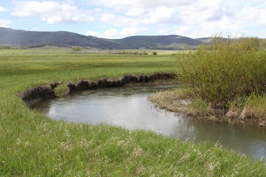 guided small stream fishing montana