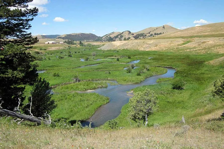 small stream scenery