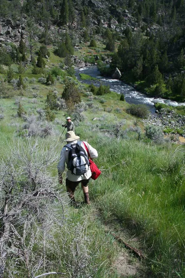 montana fishing