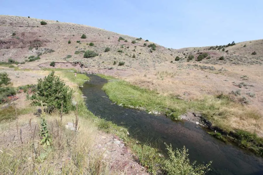 scenic small stream fishing