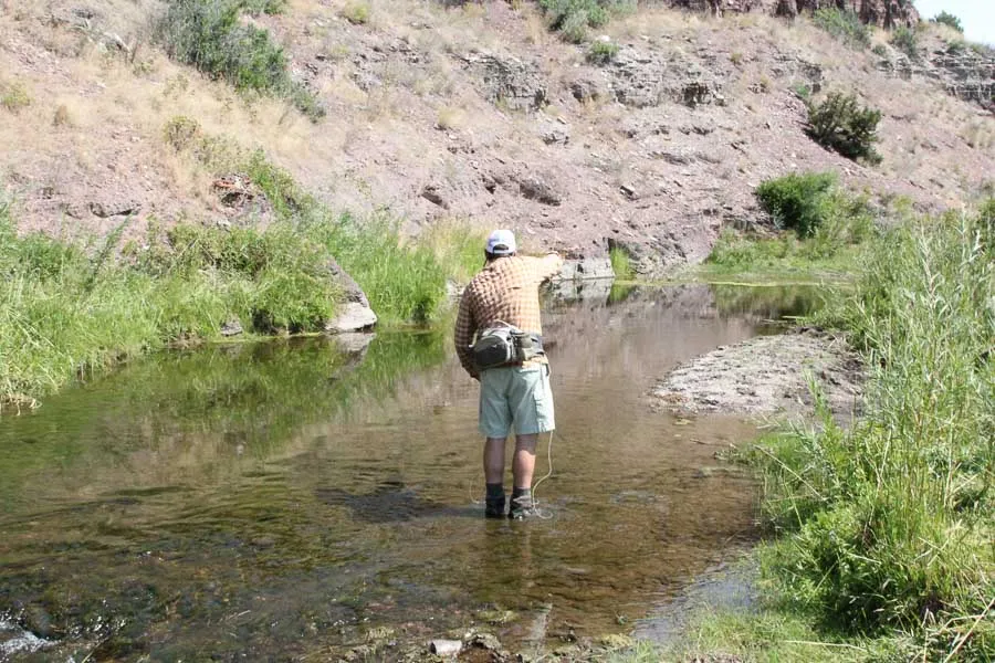 fishing montana