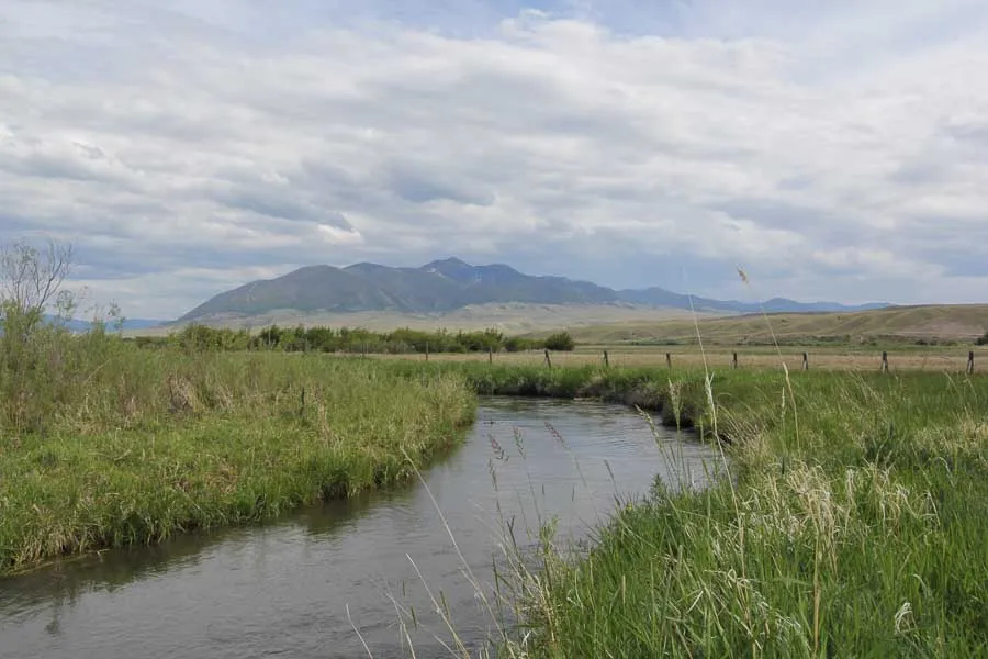 fishing small streams