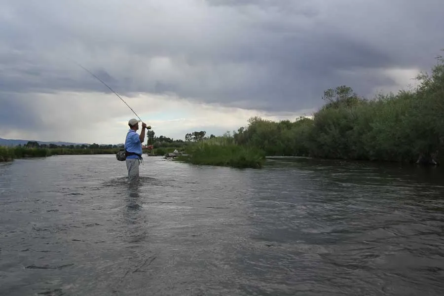 fly fishing montana