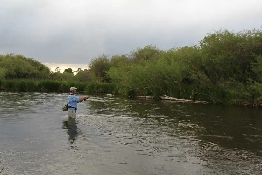 beaverhead river