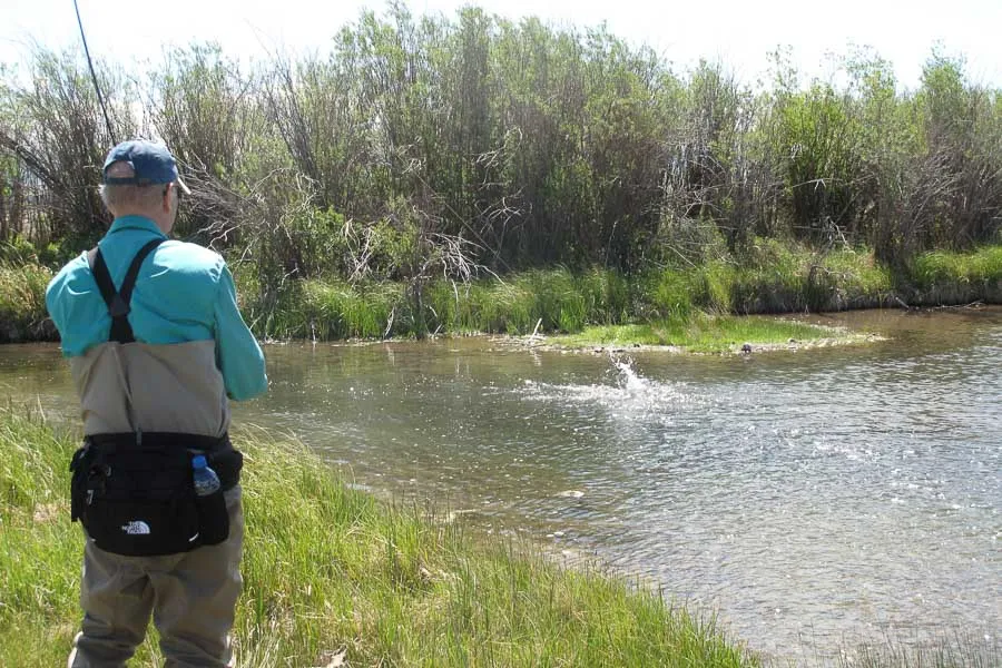 fly fishing montana