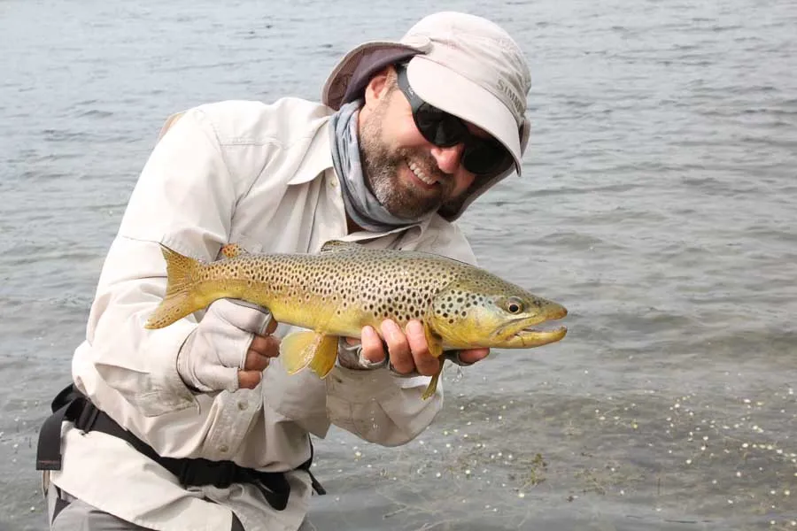 brown trout fishing