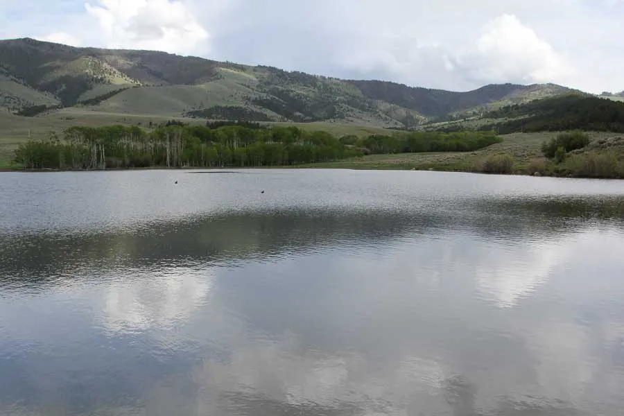 montana fly fishing