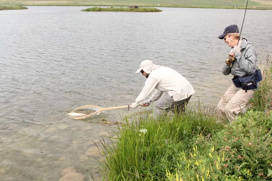 netting hanson lake fish