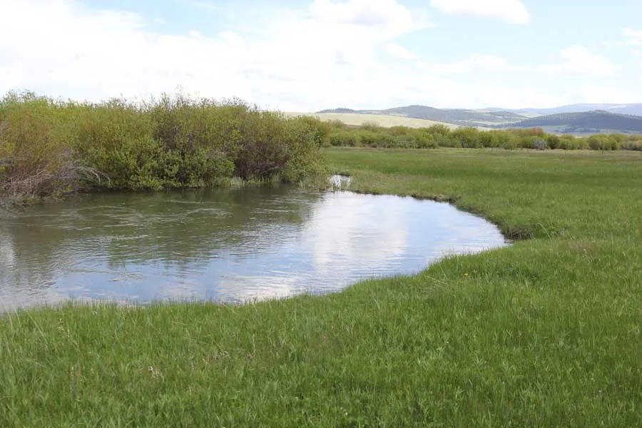guided trout fly fishing montana