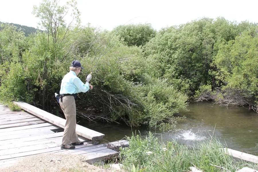 fishing off smith river bridge
