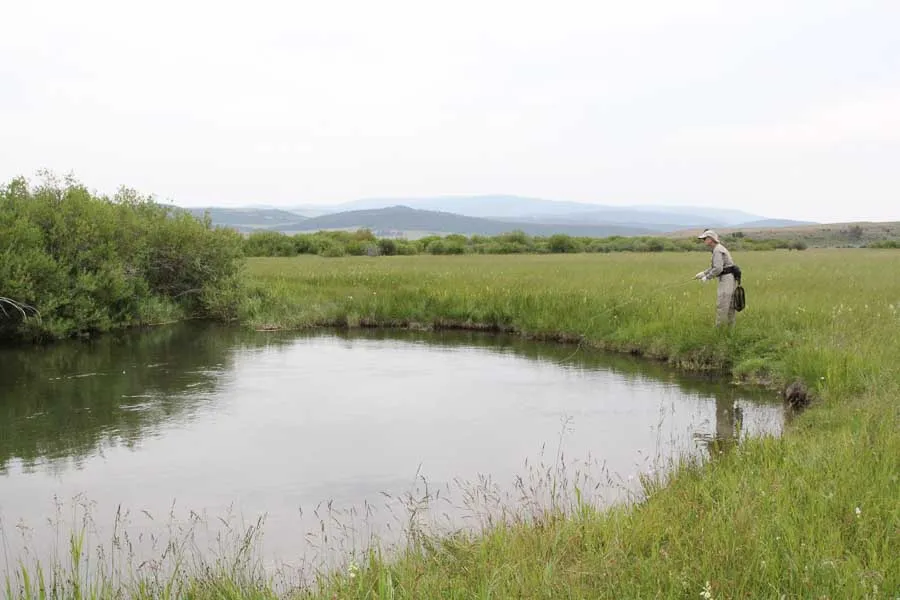 fishing off bank