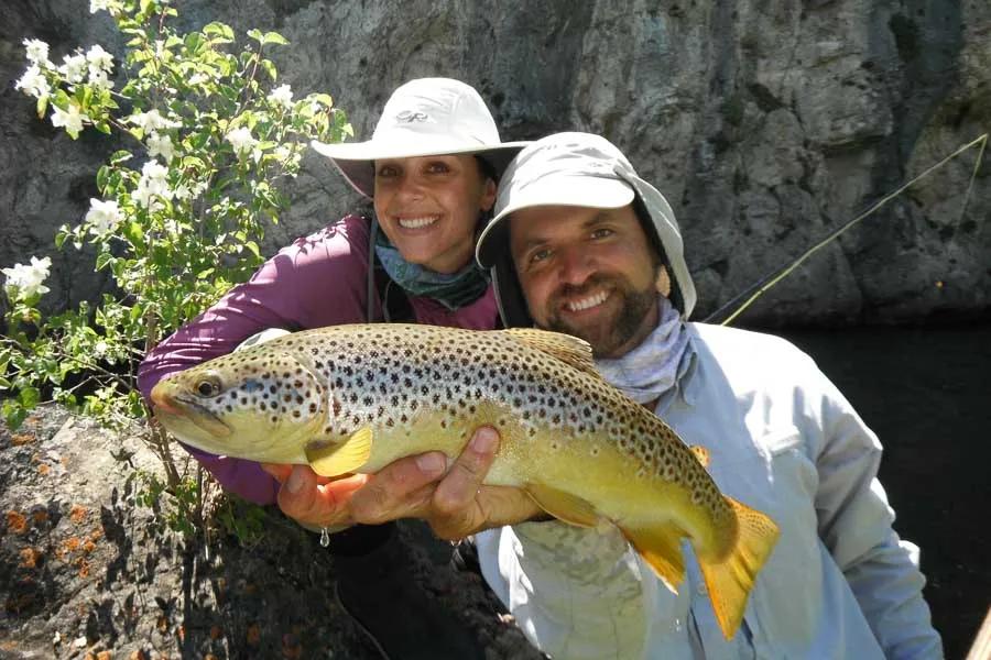 big brown trout