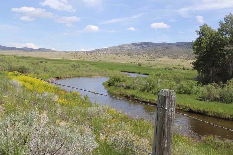 guided fly fishing