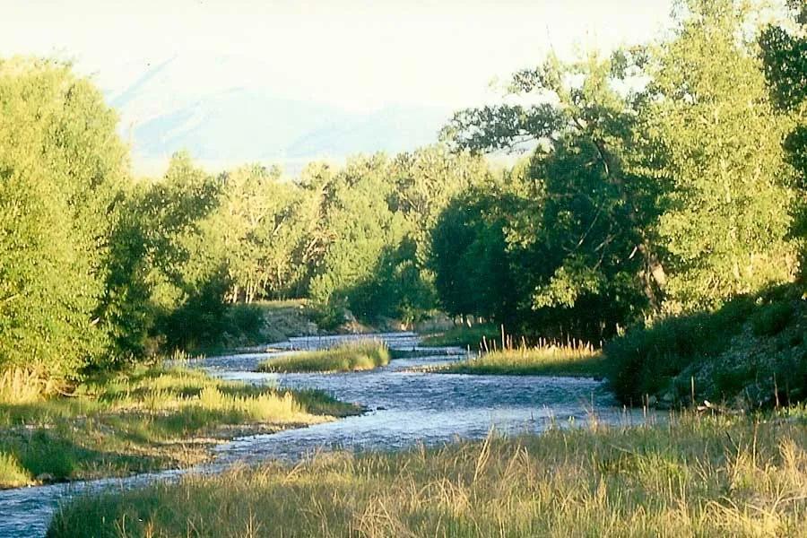 view of Sweet grass creek