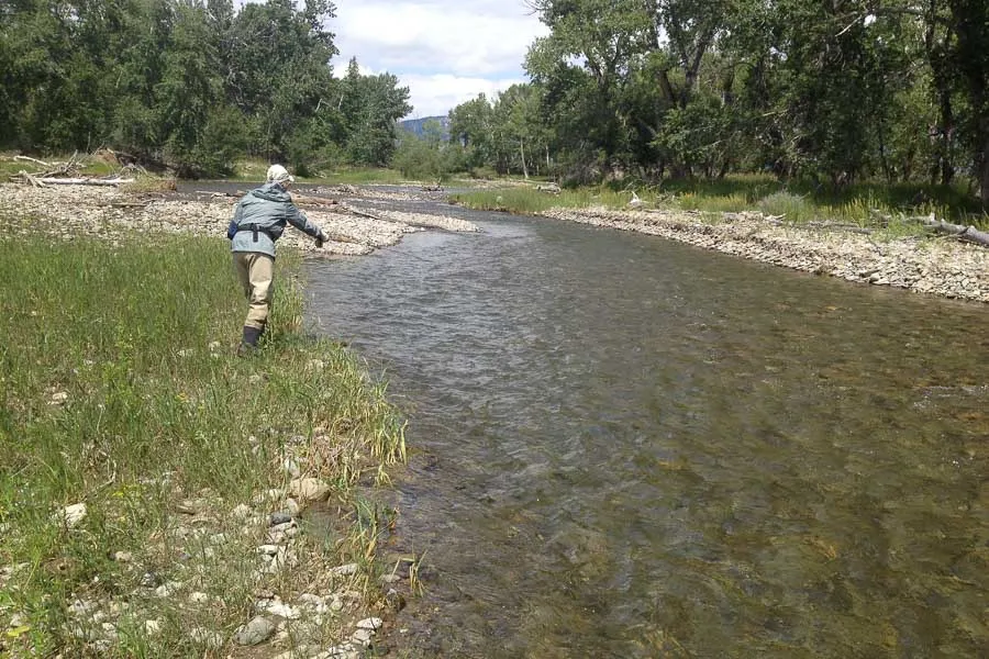montana fly fishing