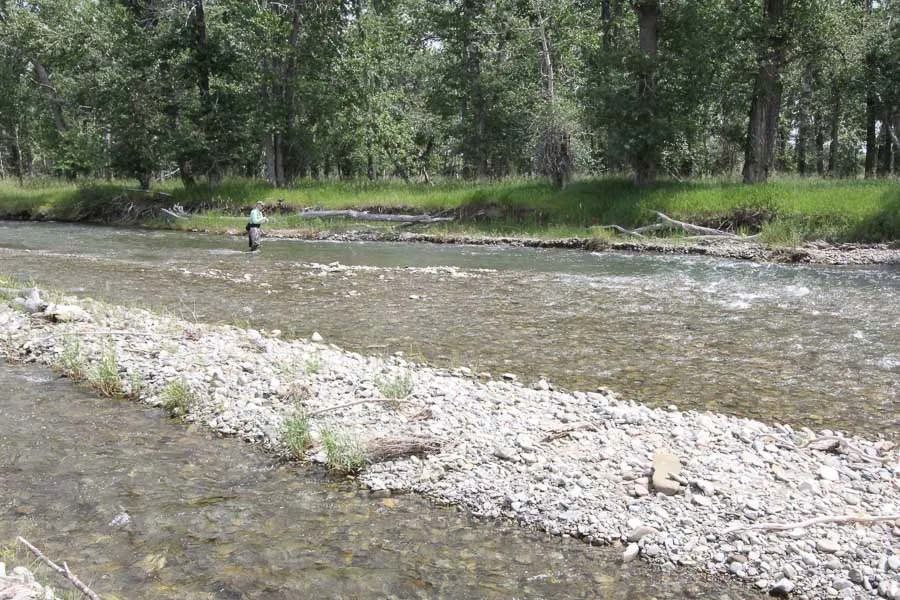 shoreline on the sweet grass creek