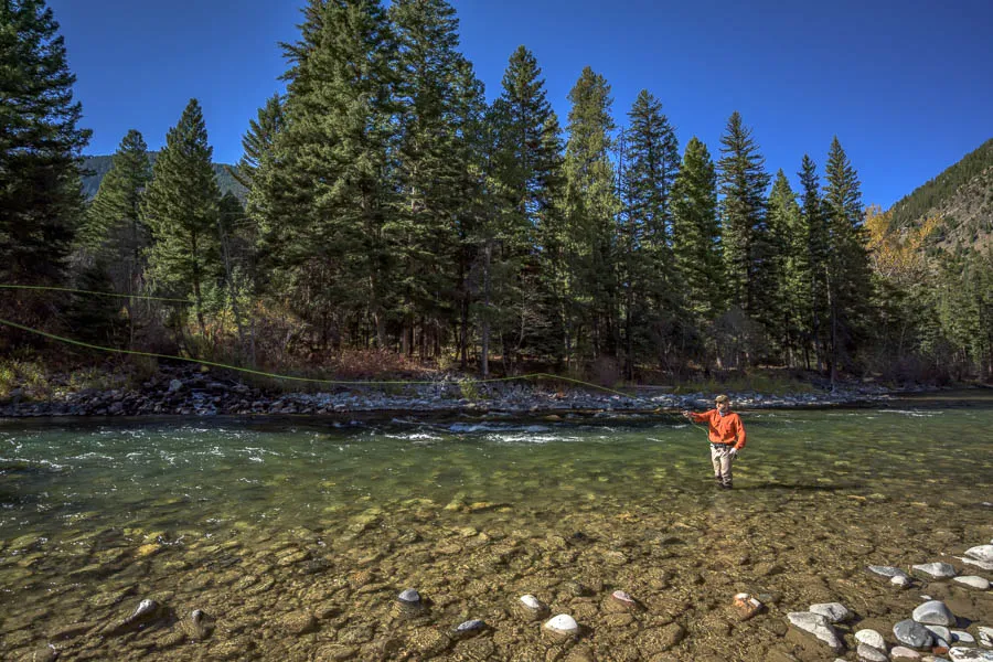 Montana Angler wade fishing trips