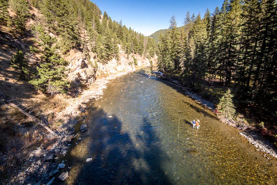 Fishing the Gallatin