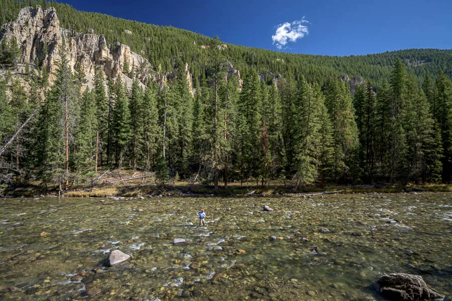 Gallatin River scenic fly fishing