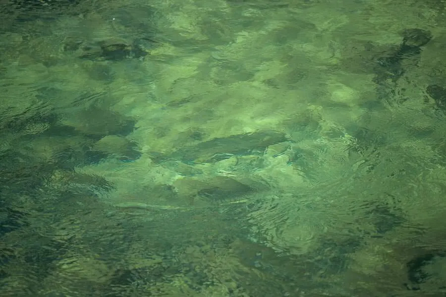 steelhead site casting