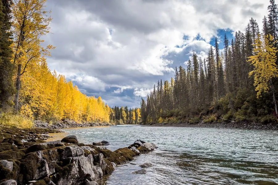 Sustut river