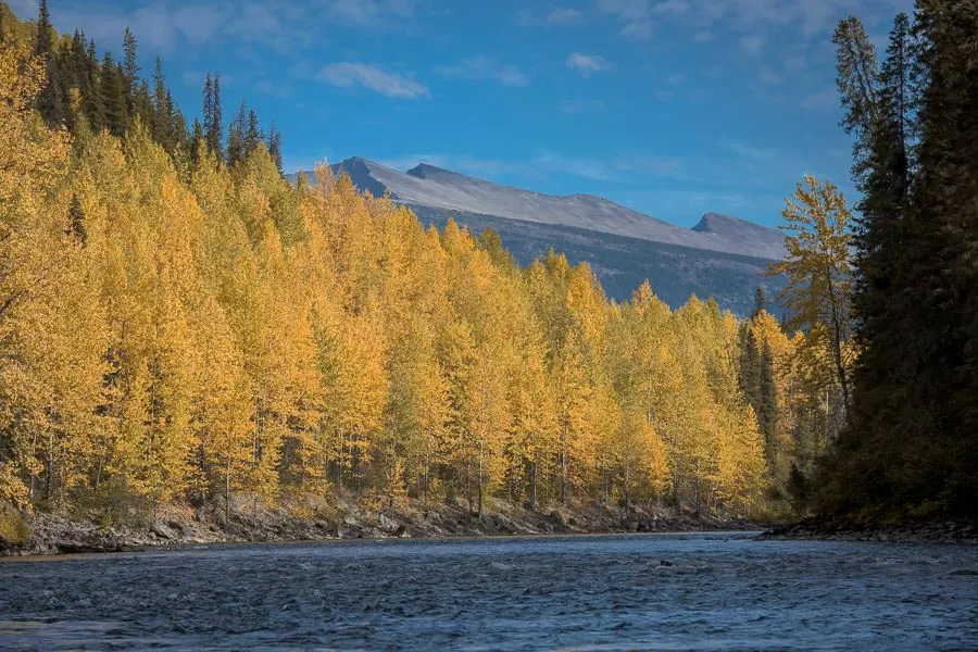 Fishing the Skeena system for steelhead