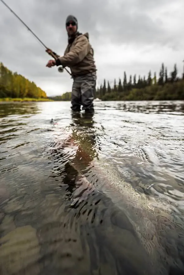 Big Steelhead on the Sustut