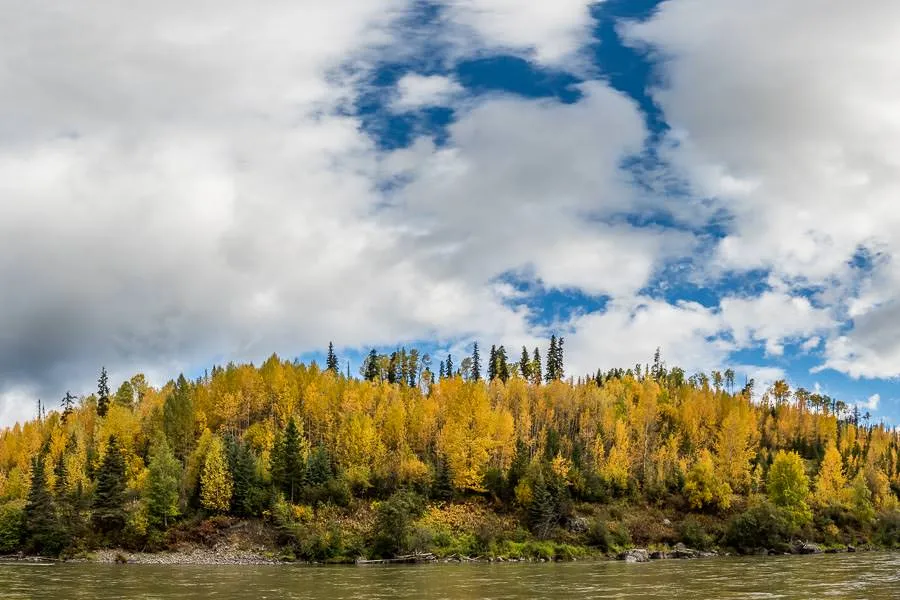 Montana Angler steelhead trip