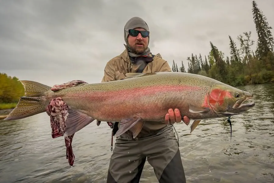 Monster Steelhead