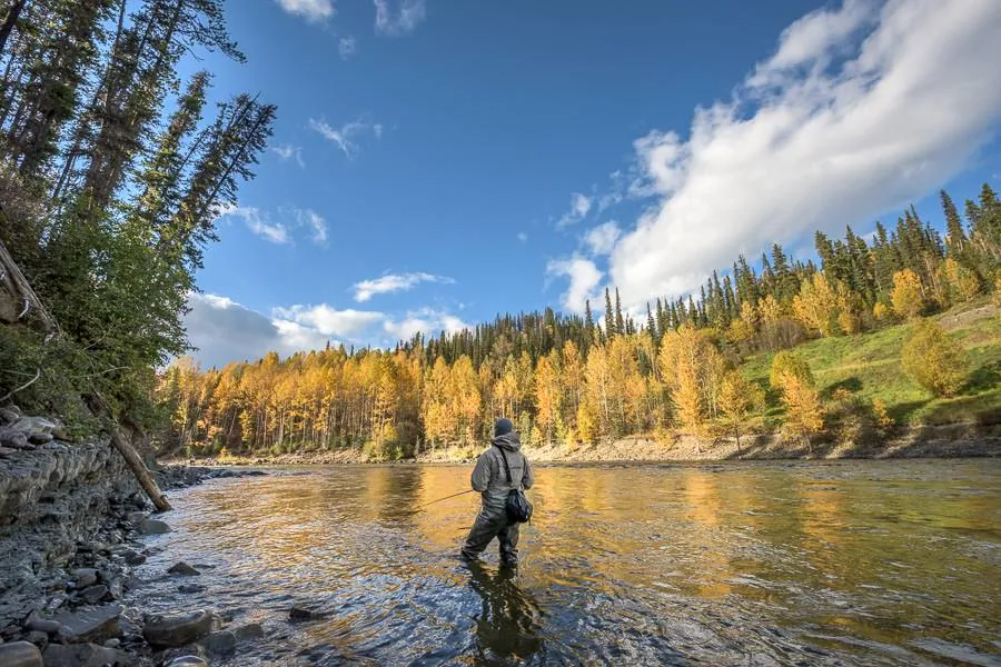 Sustut River BC steelehad