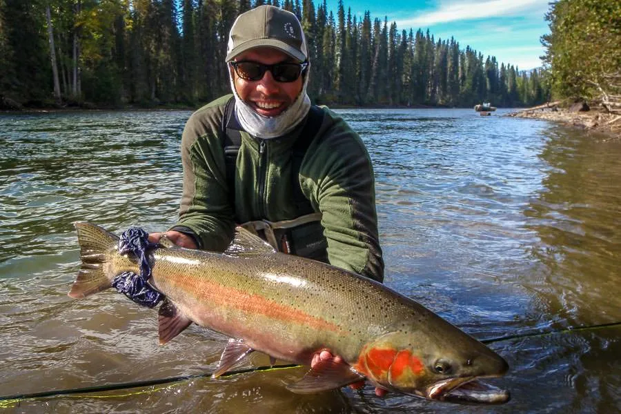 Big BC steelhead Sustut River