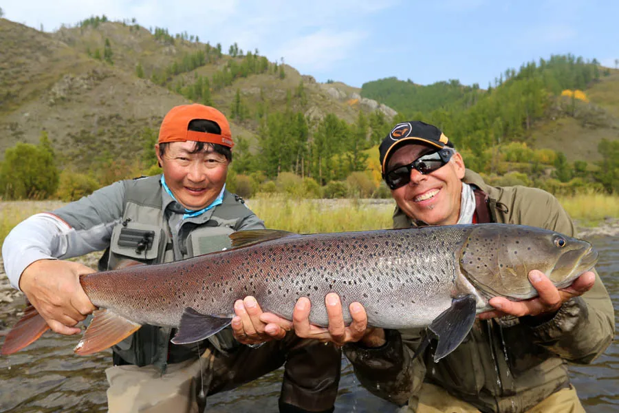 Mongolia Taimen